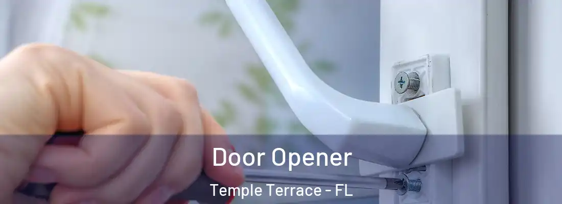 Door Opener Temple Terrace - FL