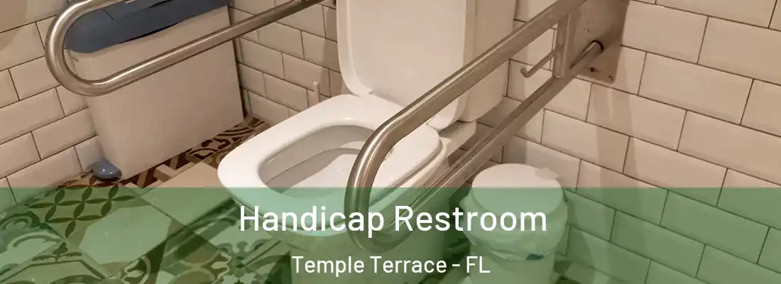 Handicap Restroom Temple Terrace - FL