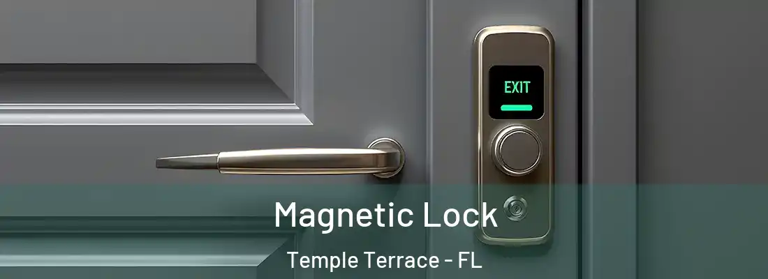 Magnetic Lock Temple Terrace - FL